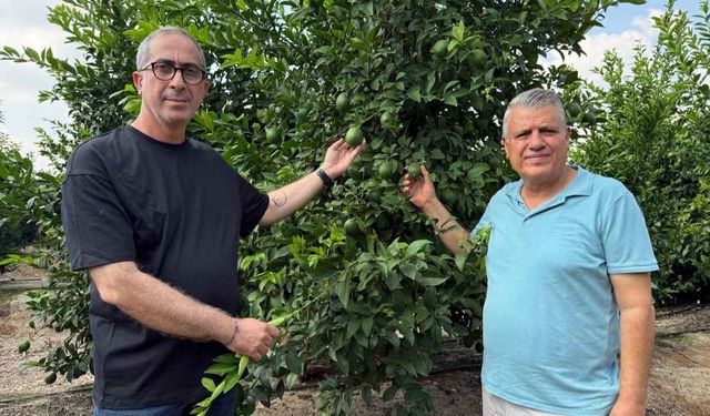 Adana'da markette 200 TL’yi gören limon dalında kaldı!
