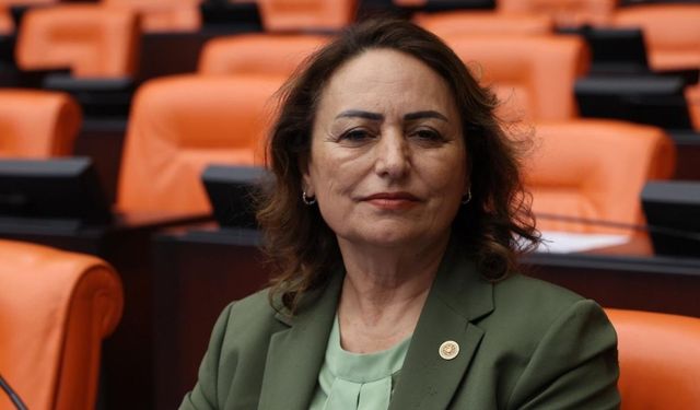 Müzeyyen Şevkin'den Kemal Öztürk ve Altan Tan'ın açıklamalarına sert tepki