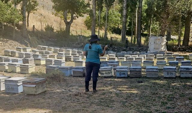 Feke’de arıcılara yönelik saha kontrolleri sürüyor