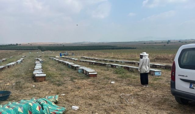 Kozan’da arıcılık destekleme tespitleri devam ediyor
