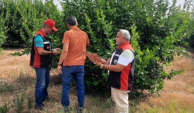 Kozan’da cins değişikliği ve tarımsal elektrik işlemlerinde saha mesaisi
