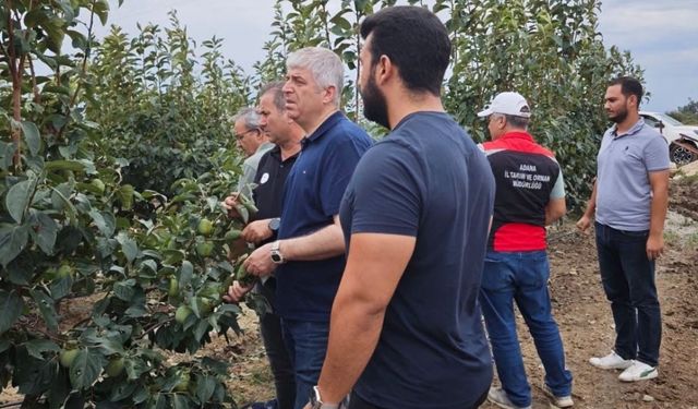 Kozan’da dolu felaketi sonrası hasar tespit çalışmaları sürüyor