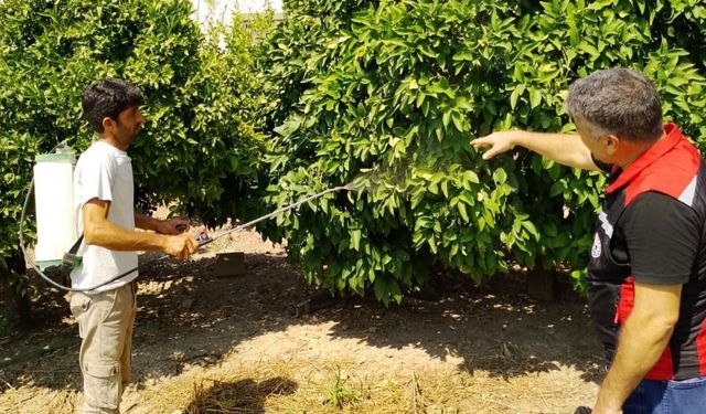 Kozan’da tarım alanlarında hastalık ve zararlı denetimi
