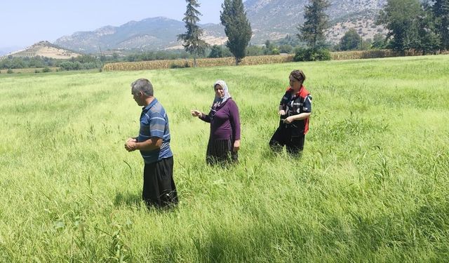 Kozan'da tarım arazileri mercek altında! Üreticilere sahada destek