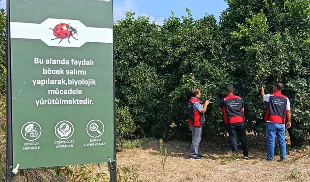 Kozan’da tarım arazilerinde kontroller aralıksız sürüyor