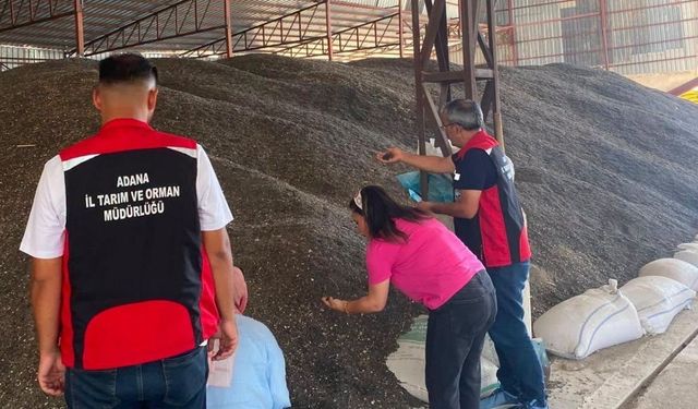 Kozan'da tarım ekipleri hem fiyatları hem rekolteyi takip ediyor