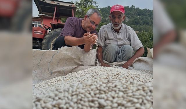 Kozan’da üreticilere yüzde 75 hibeli kuru fasulye desteği