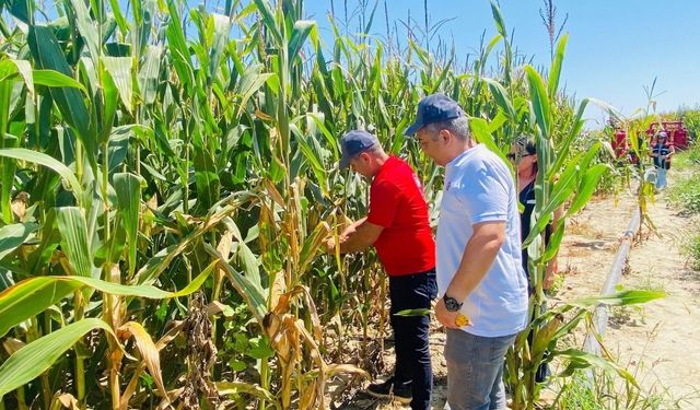 Kozan'da üretim alanları sahada yakından takip ediliyor