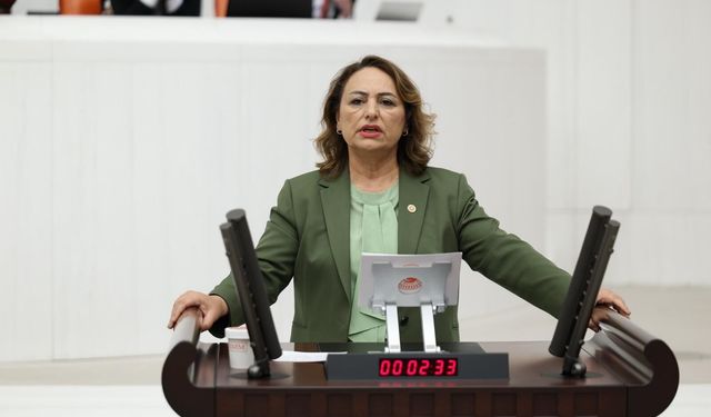 Müzeyyen Şevkin çiftçinin sorunlarını Meclis’e taşıdı: 5 önerge, 41 soru