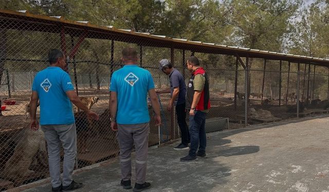 Sarıçam’a kazandırılan hayvan barınağına Tarım Müdürlüğü’nden ziyaret