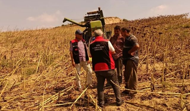 Sarıçam'da tarım arazileri hastalık ve zararlılara karşı denetleniyor