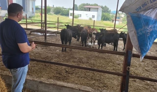 Sarıçam’da üreticilere “kırsalda bereket” desteği