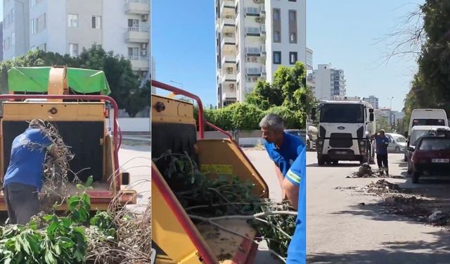 Seyhan'da budanan dallar yerinde öğütülerek temizleniyor