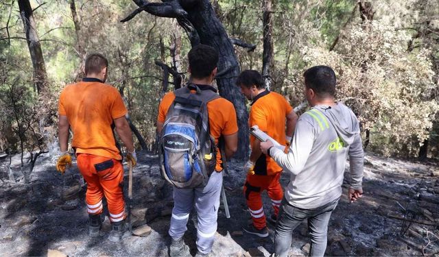 Kozan’da yanan 5 bin 903 hektarlık orman alanı yeniden ağaçlandırılacak