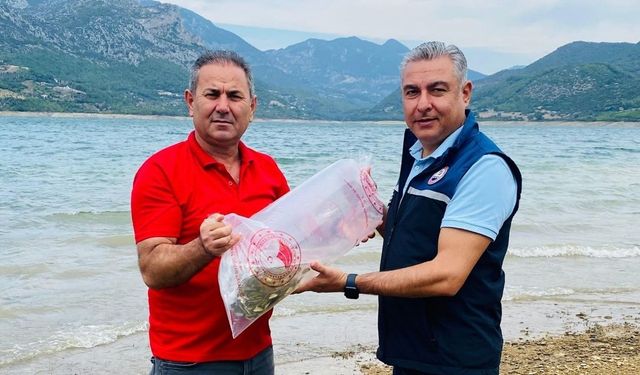 665 Bin sazan yavrusu suya bırakıldı