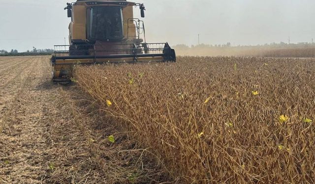 Adana'da 2026 yılı soya biçerdöver ücretleri belli oldu