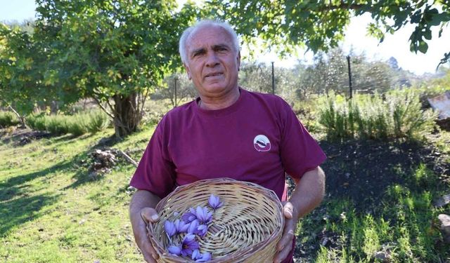Adana’da bir saksıyla başladı: Şimdi gramını 900 TL’ye satıyor