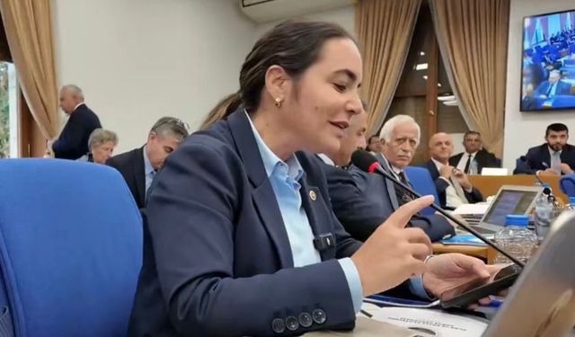 Ayyüce Türkeş Taş’tan fon krizi tepkisi: “Zarar 455 bin yatırımcıya yayıldı”