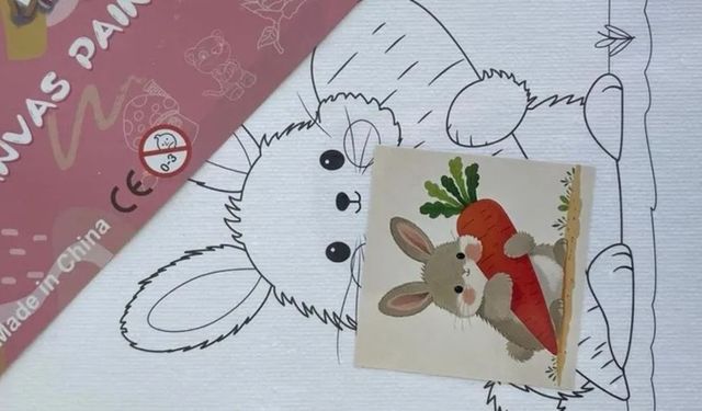 Bakanlıktan çocukları ilgilendiren karar: Oyuncak toplatılıyor