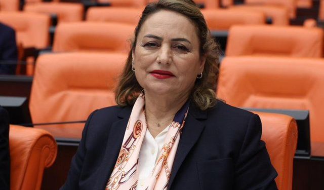 CHP'li Şevkin'den 20 milyar dolarlık fon krizi çıkışı: “Yüzyılın skandalı!”