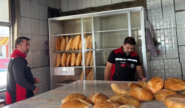 Feke’de gıda güvenliği için ekipler sahada