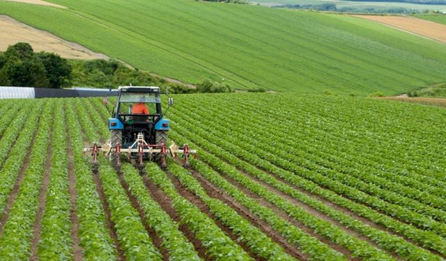 Adana’da genç girişimci hibe sonuçları açıklandı: İlçe müdürlüklerine başvuru çağrısı