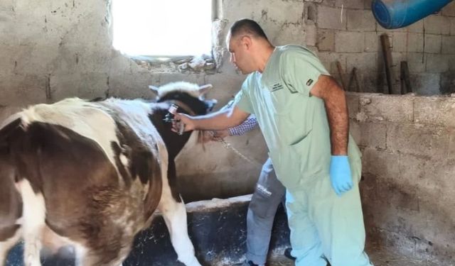 Kozan’da aşılama ve sağlık taramaları sürüyor