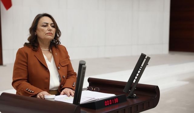 Müzeyyen Şevkin: “Mezuniyet bir yıl daha ertelenmesin”