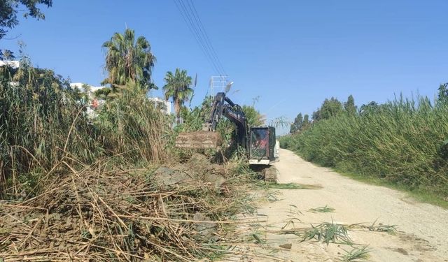 Yumurtalık Belediyesi'nden çevre temizliği