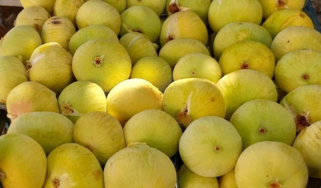 Mersin’de incirin sezonu 80 lirayla kapatması üreticinin yüzünü güldürdü