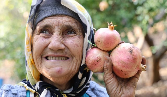 Tescilli Kuytucak narı bahçede 20 lira