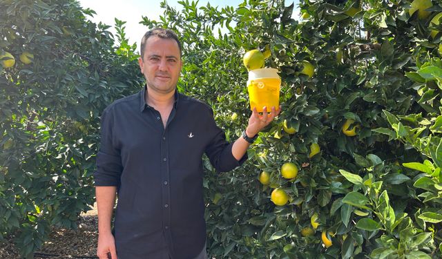 Narenciye de Akdeniz meyve sineğiyle mücadele sürüyor