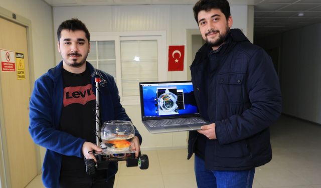 Yapay zeka ile Japon balığına araba sürdürdüler