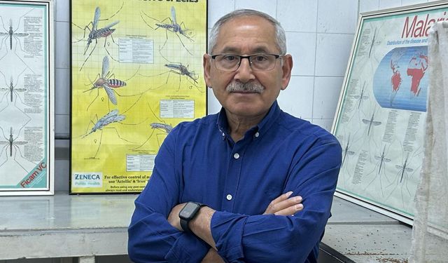 25 Nisan Dünya Sıtma Günü’nde önemli uyarı: “Sivrisineklerle mücadele bitmedi, değişti”