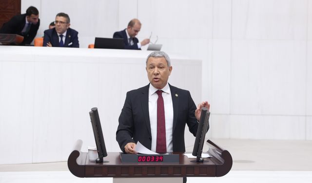CHP'li Sümer: "İktidar yolsuzluk arıyorsa Sayıştay Raporlarına baksın orada hepsi yazıyor"