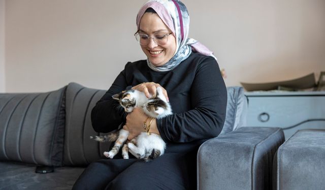 Cami avlusuna sığınan anne kedinin yavruları sahiplendirilecek
