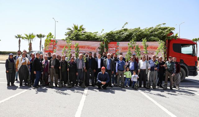Mersin'de üreticilere Trabzon hurması fidanı dağıtılıyor