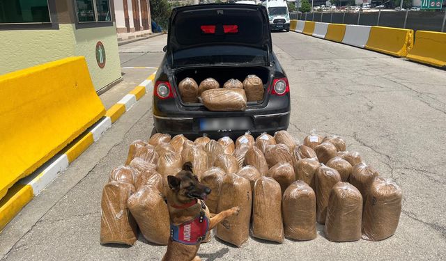 292 bin 102 makaron ve 250 kilogram bandrolsüz tütün ele geçirildi