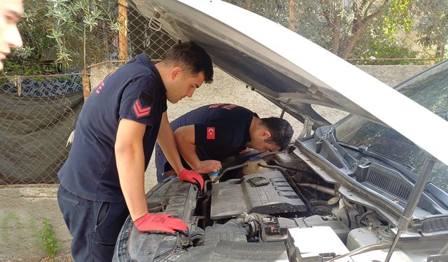 Adana’da otomobilin motoruna sıkışan yavru kediyi itfaiye kurtardı