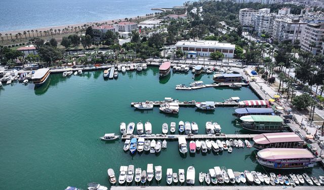 Akdeniz'deki yasa dışı avcılıkta 4 ayda en fazla ceza Adana'ya kesildi