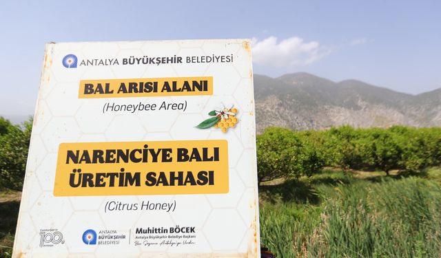 Antalya'da narenciye balı için coğrafi işaret tescil çalışması