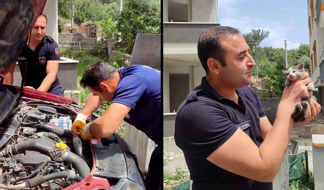 Araç motorundan çıkan sürpriz yüzleri gülümsetti