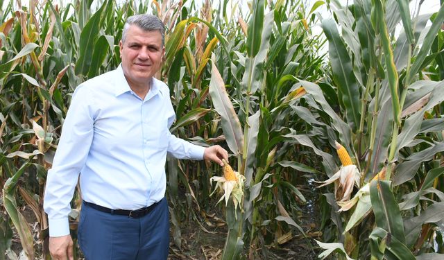 Ayhan Barut'tan mısırda sıfır gümrük vergili ithalat kararına sert tepki
