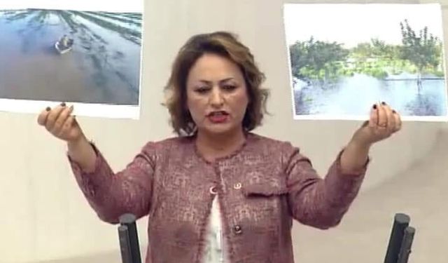 CHP'li Şevkin: “Çiftçi perişan oldu, destek yok!”