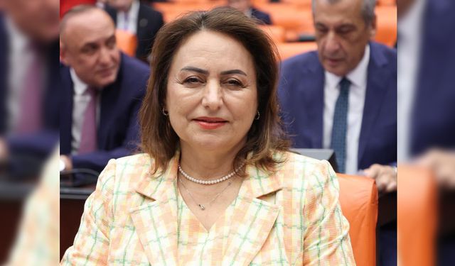 CHP’li Şevkin’den ‘Maden facialarına karşı önlem alınsın’ çağrısı