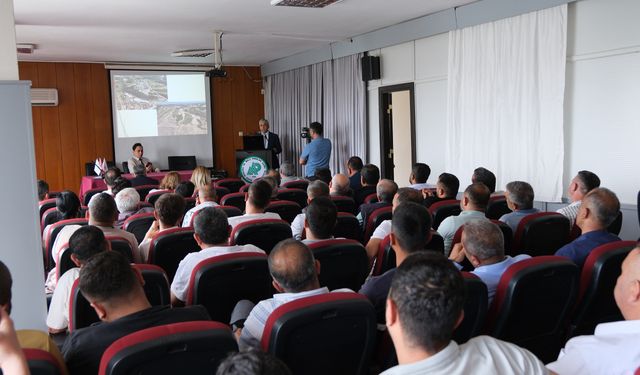 Devlet kurumları sokak canlılarının rehabilitesi için bir araya geldi
