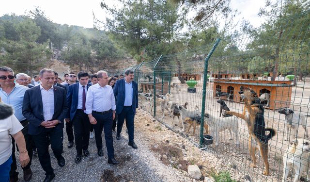 Mersin'de 'Patiköy Doğal Yaşam Alanı' hizmete açıldı