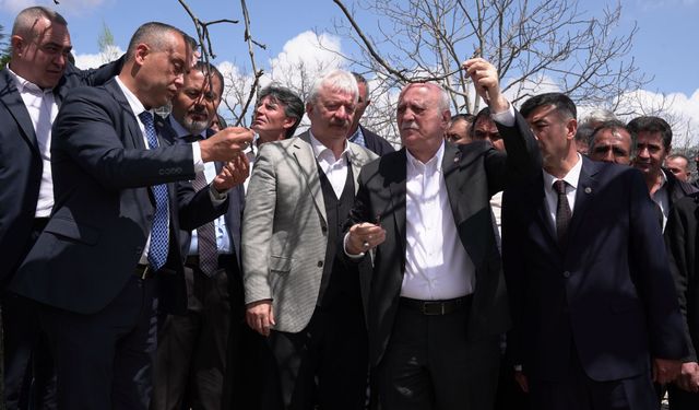 TZOB Başkanı Bayraktar, Kahramanmaraş'ta zirai dondan etkilenen bahçeleri inceledi