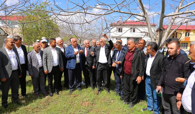 TZOB Genel Başkanı Bayraktar: "65 ilimizde meyve bahçelerimiz don felaketinden etkilendi"