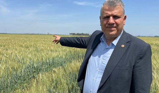 Ayhan Barut'tan buğday üreticileri için açık çağrı: "Çiftçi sizin düşmanınız değildir"